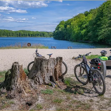 Dhh Am Gothenweg Dhh Anemone Korswandt