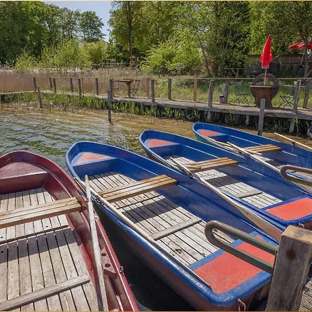 Dhh Am Gothenweg Dhh Anemone Korswandt