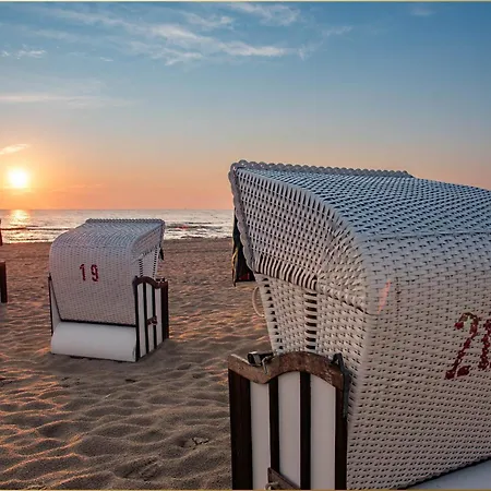 Dhh Am Gothenweg Dhh Anemone