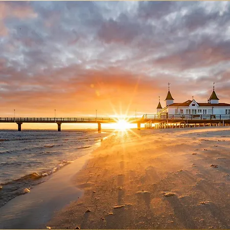 Dhh Am Gothenweg Dhh Anemone * Korswandt