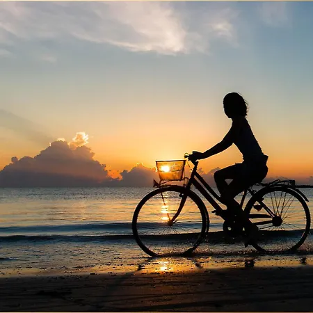 Dhh Am Gothenweg Dhh Anemone * Korswandt