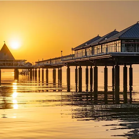 Dhh Am Gothenweg Dhh Anemone Korswandt