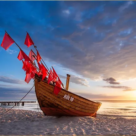 Dhh Am Gothenweg Dhh Anemone