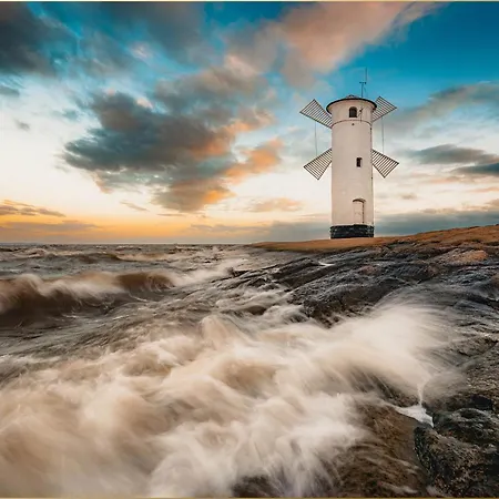 Dhh Am Gothenweg Dhh Anemone *