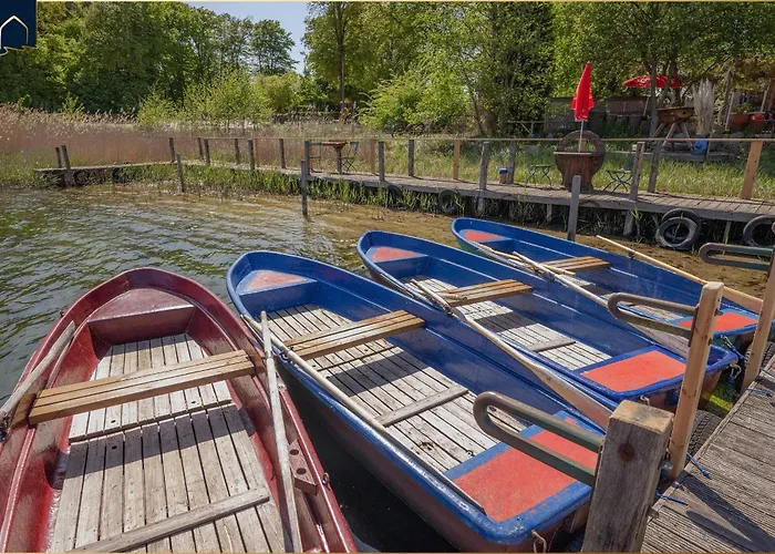 Dhh Am Gothenweg Dhh Anemone Korswandt