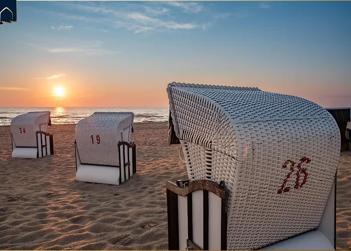 Dhh Am Gothenweg Dhh Anemone