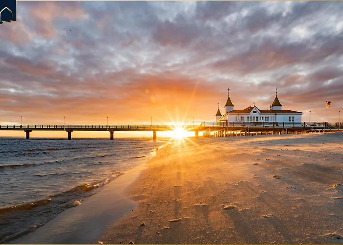 Dhh Am Gothenweg Dhh Anemone * Korswandt