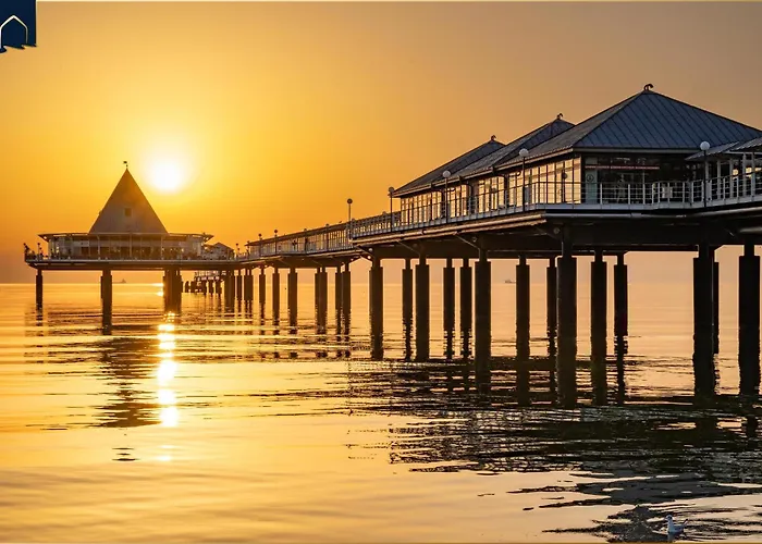 Dhh Am Gothenweg Dhh Anemone Korswandt