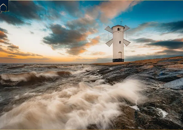 Dhh Am Gothenweg Dhh Anemone *