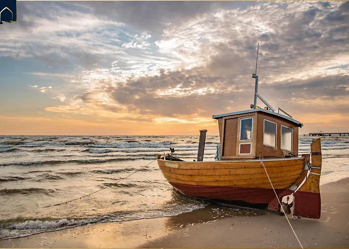 Dhh Am Gothenweg Dhh Anemone